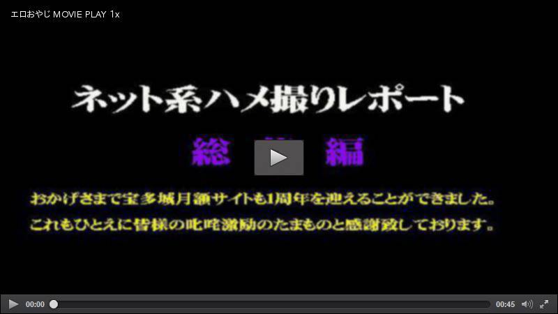 ネット系ハメ撮りレポート 総集編２ 素人 宝多城 HEY動画