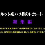 ネット系ハメ撮りレポート 総集編２ 素人 宝多城 HEY動画