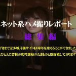 ネット系ハメ撮りレポート 総集編３ 素人 宝多城 HEY動画
